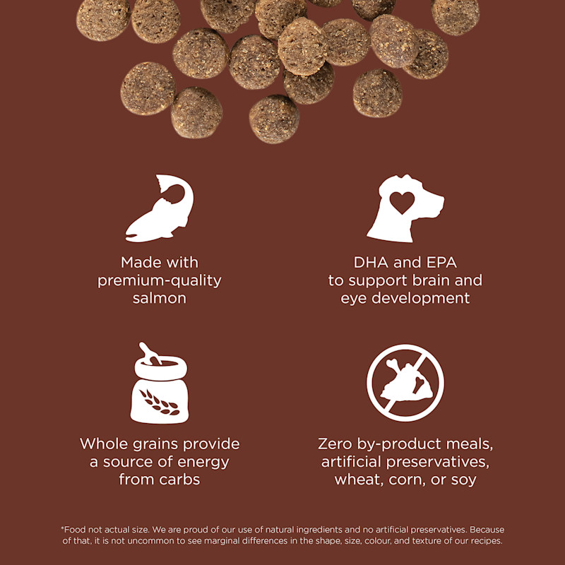 Made with premium-quality salmon, DHA and EPA, whole grains, and zero by-product meals