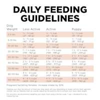 Go! Solutions Digestion + Gut Health Salmon Recipe with Ancient Grains dog food feeding guidelines