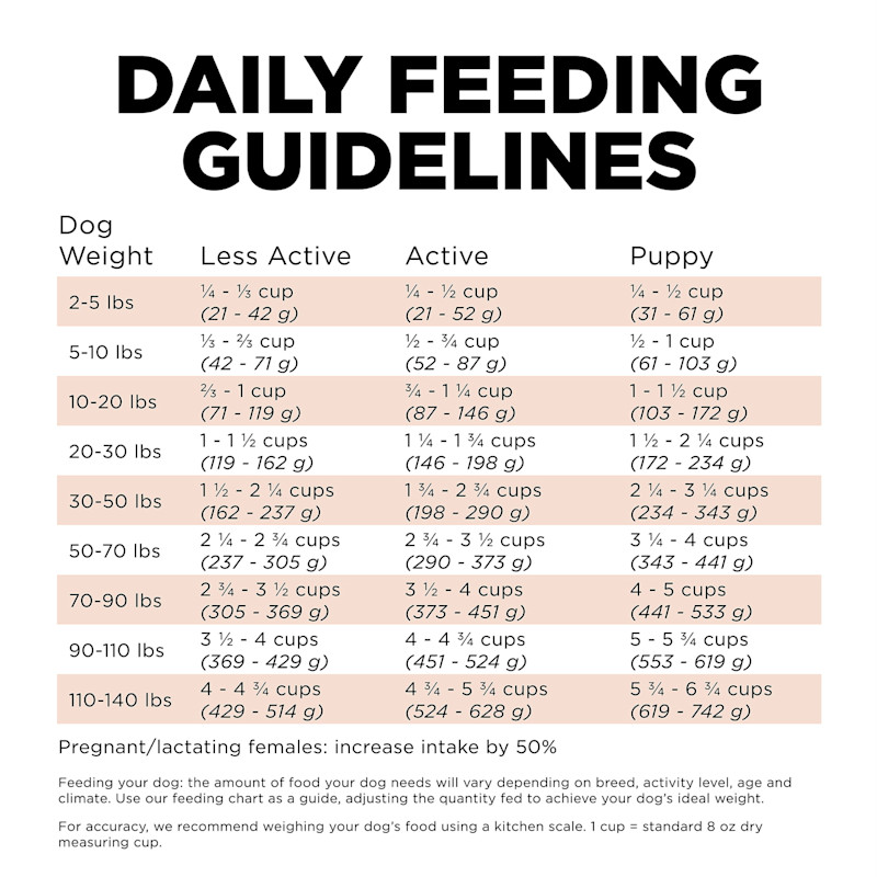 Go! Solutions Digestion + Gut Health Salmon Recipe with Ancient Grains dog food feeding guidelines