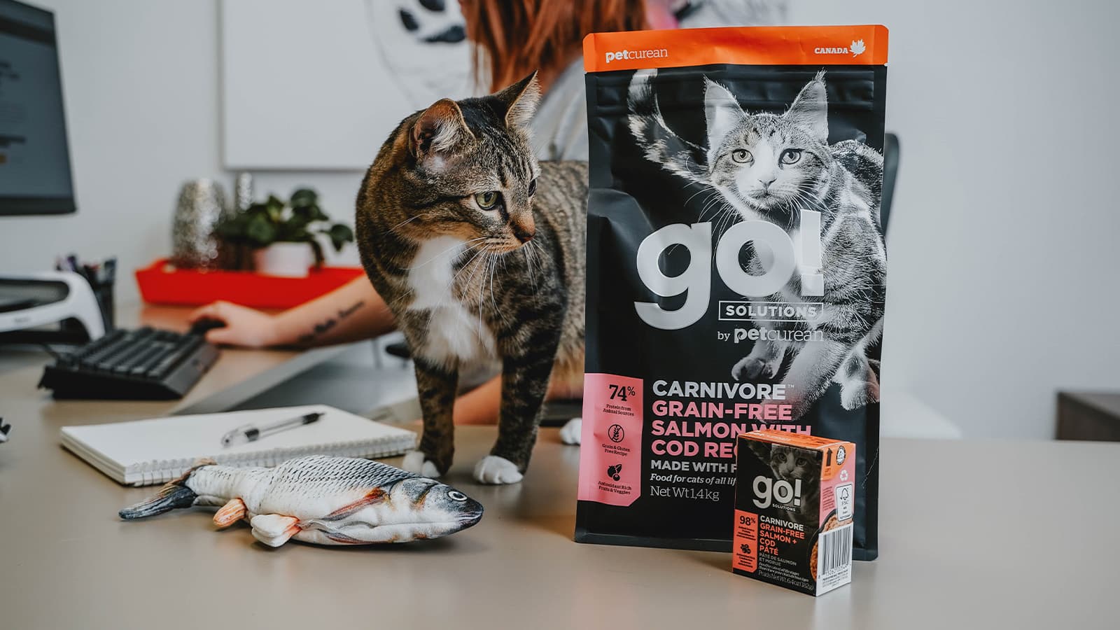 essential-vitamins-in-cat-food-go-solutions