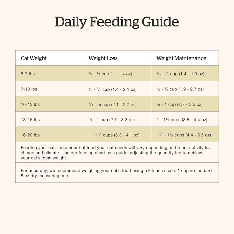 Now Fresh Senior Recipe cat food feeding guide