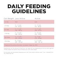 Go! Solutions Sensitivities Limited Ingredient Grain-Free Salmon Recipe cat food feeding guidelines