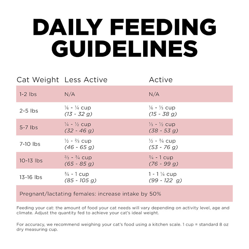 Go! Solutions Sensitivities Limited Ingredient Grain-Free Salmon Recipe cat food feeding guidelines