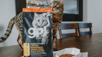 Brown cat on table behind GO! SENSITIVITIES Limited Ingredient Duck Recipe kibble