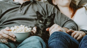 Cat on couch with owners beside bowl of popcorn