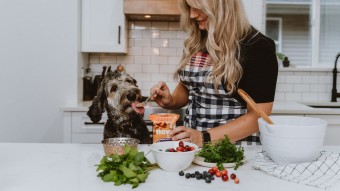 Woman feeding dog wet food in kitchen