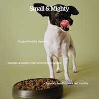 Supports healthy digestion, maintains a healthy heart and immune system, and supports healthy joints and mobility