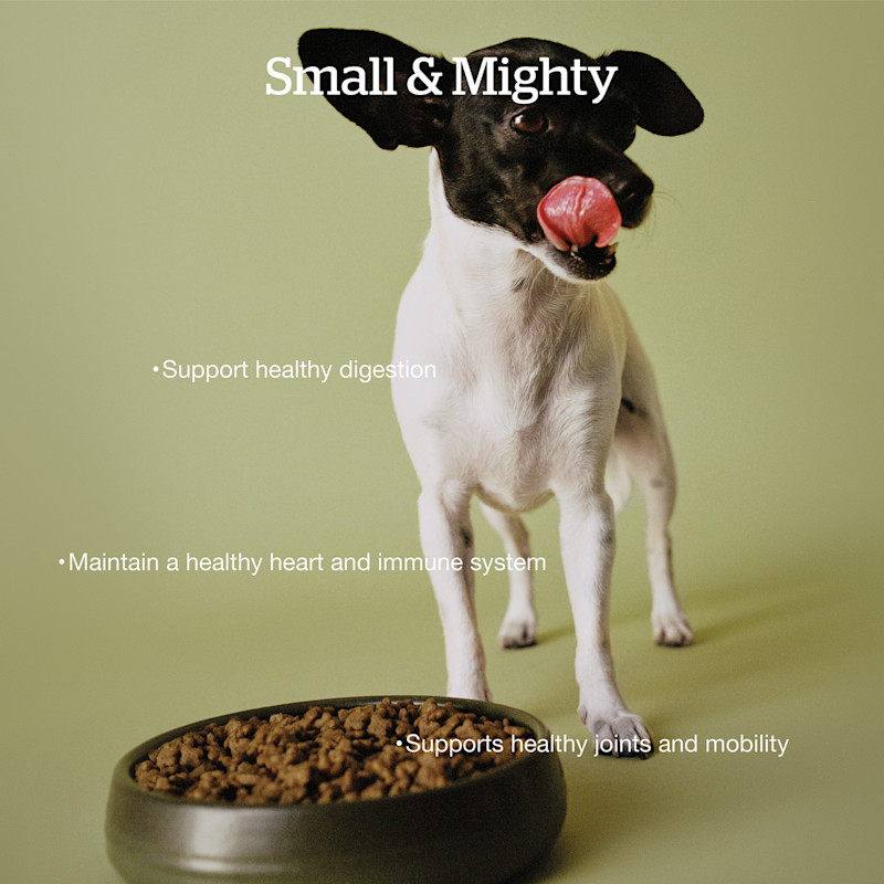 Supports healthy digestion, maintains a healthy heart and immune system, and supports healthy joints and mobility