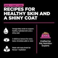 Recipes for healthy skin and a shiny coat