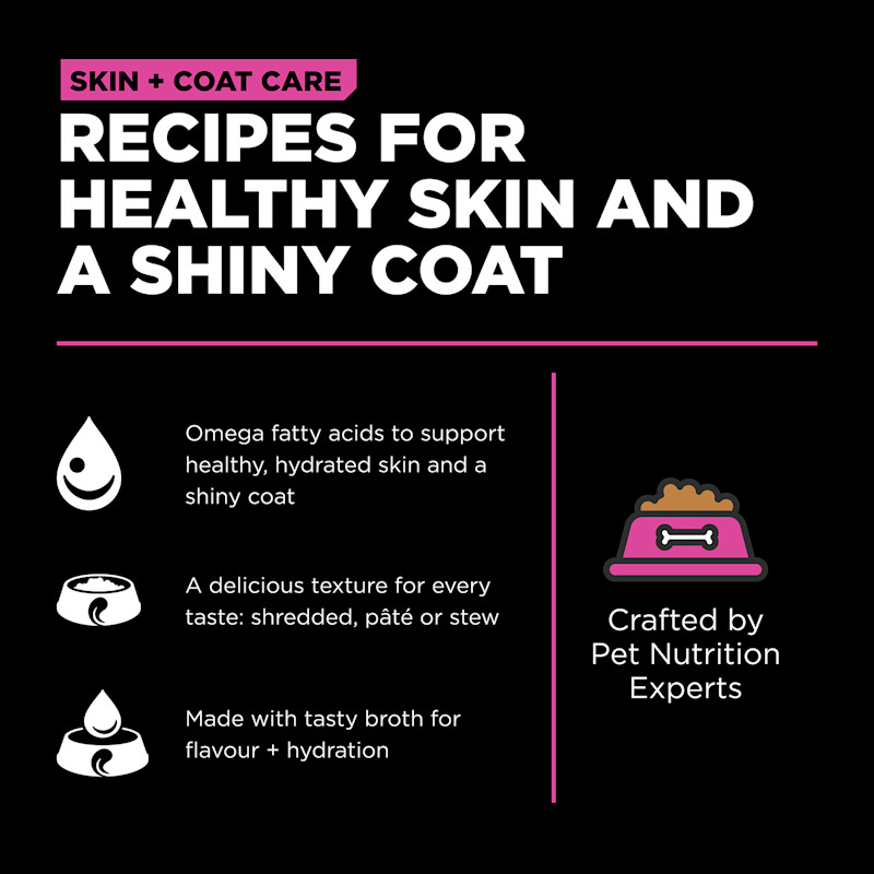 Recipes for healthy skin and a shiny coat