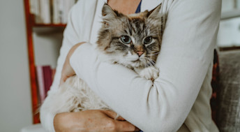 Woman holding blue-eyed cat