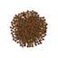 Go! Sensitivities Insect Recipe for cats kibble