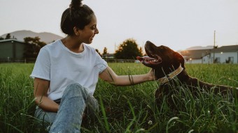 Woman sitting in grass with Chocolate Lab dog