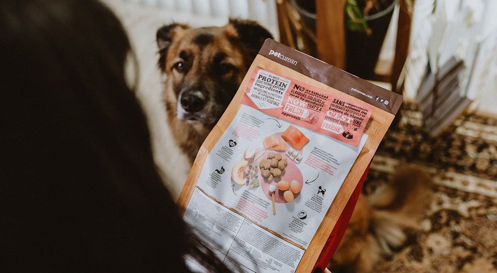 Owner reading the back of dog food bag