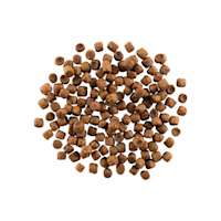 GO! SOLUTIONS CARNIVORE Grain-Free Chicken, Turkey + Duck Recipe for Cats kibble