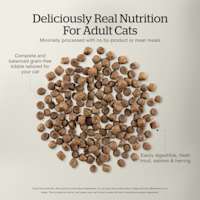 Complete and balanced grain-free kibble tailored to your cat
