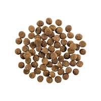GO! SOLUTIONS SKIN + COAT CARE Salmon Recipe with Grains for Dogs kibble