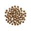 GO! SOLUTIONS SKIN + COAT CARE Salmon Recipe with Grains for Dogs kibble