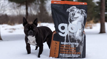 Boston Terrier beside bag of Go! Solutions Sensitivities kibble