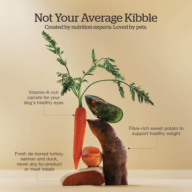 Created by nutrition experts and loved by pets