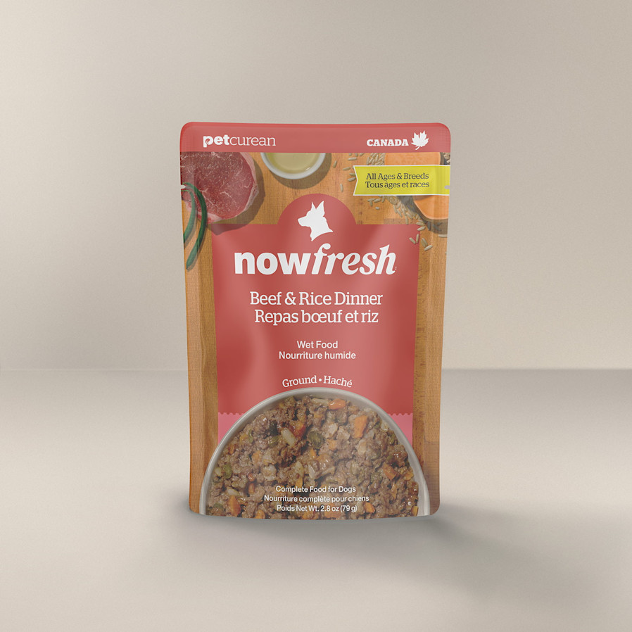 Now Fresh Beef & Rice Dinner wet dog food