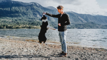 Border Collie dog jumping for ball in pet parents hand at the beach