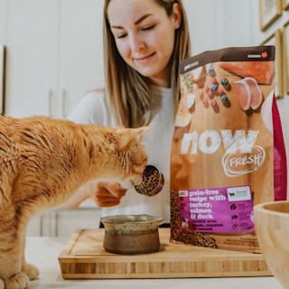 Woman in kitchen feeding cat NOW FRESH kibble