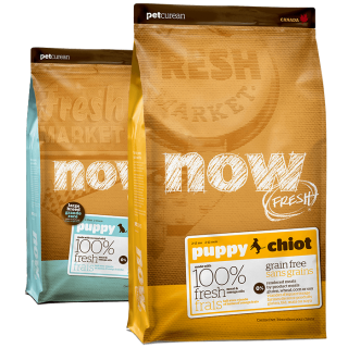 NOW FRESH dry dog food for puppies and large breed puppies