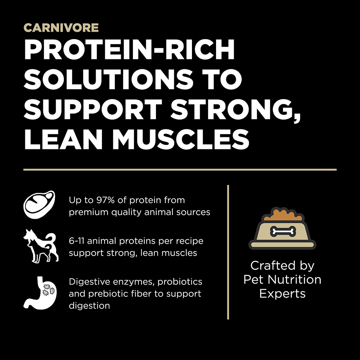 Protein-rich solutions to support strong, lean muscles