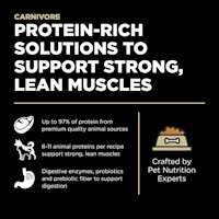 Protein-rich solutions to support strong, lean muscles