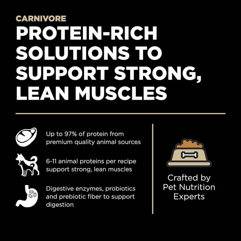 Protein-rich solutions to support strong, lean muscles