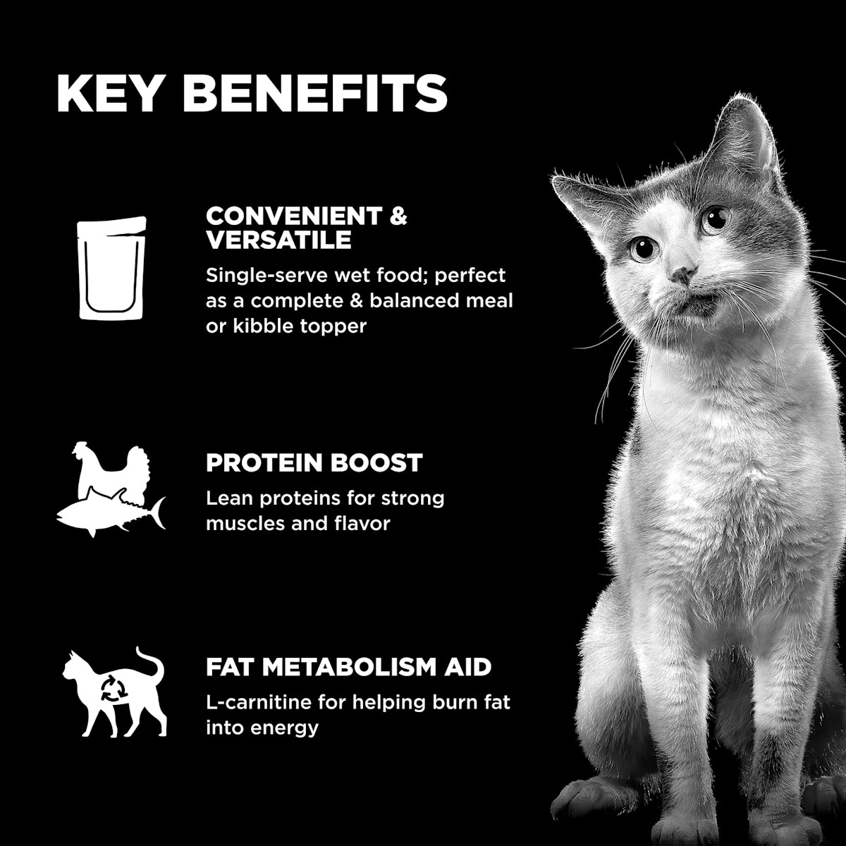 Meal versatility, lean proteins, and L-carnitine for healthy fat metabolism