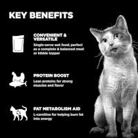 Meal versatility, lean proteins, and L-carnitine for healthy fat metabolism