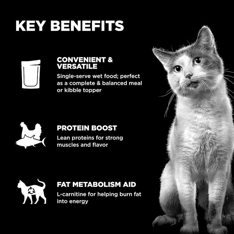 Meal versatility, lean proteins, and L-carnitine for healthy fat metabolism