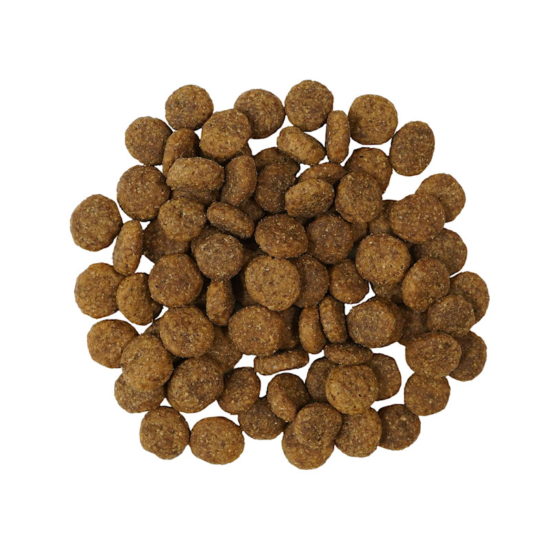Go! Solutions Weight Management + Joint Care Grain-Free Chicken Recipe for Dogs kibble