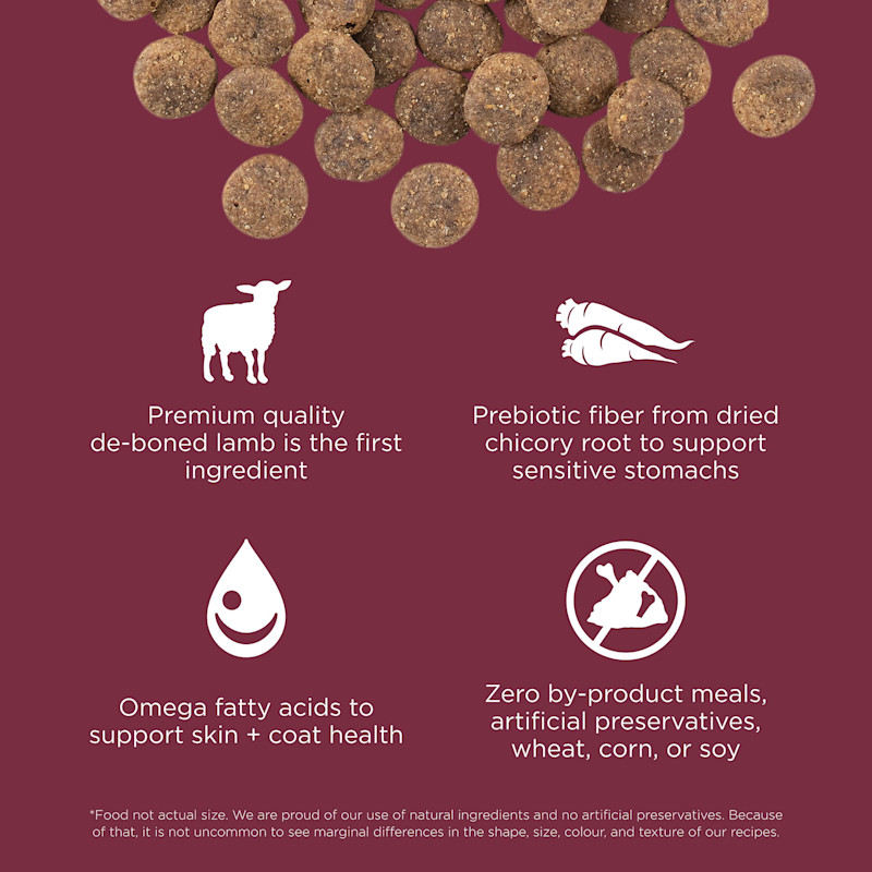 Premium-quality de-boned lamb is the first ingredient, prebiotic fiber from chicory root, omega fatty acids, and zero by-product meals