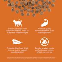 Indoor cat recipe with balanced proteins and fats, premium-quality de-boned salmon, prebiotic fiber, and zero by-product meals