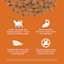 Indoor cat recipe with balanced proteins and fats, premium-quality de-boned salmon, prebiotic fiber, and zero by-product meals