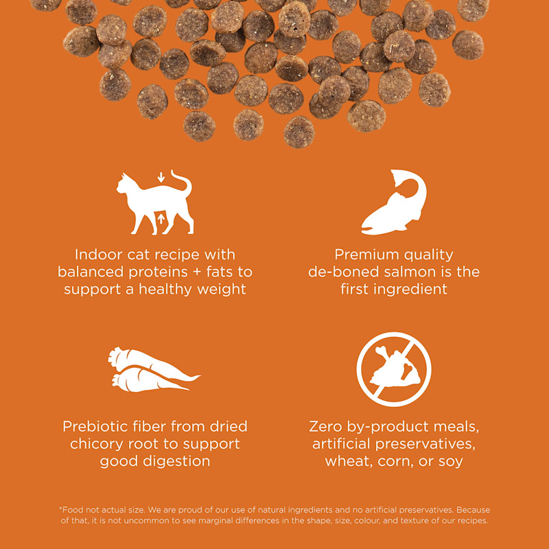 Indoor cat recipe with balanced proteins and fats, premium-quality de-boned salmon, prebiotic fiber, and zero by-product meals