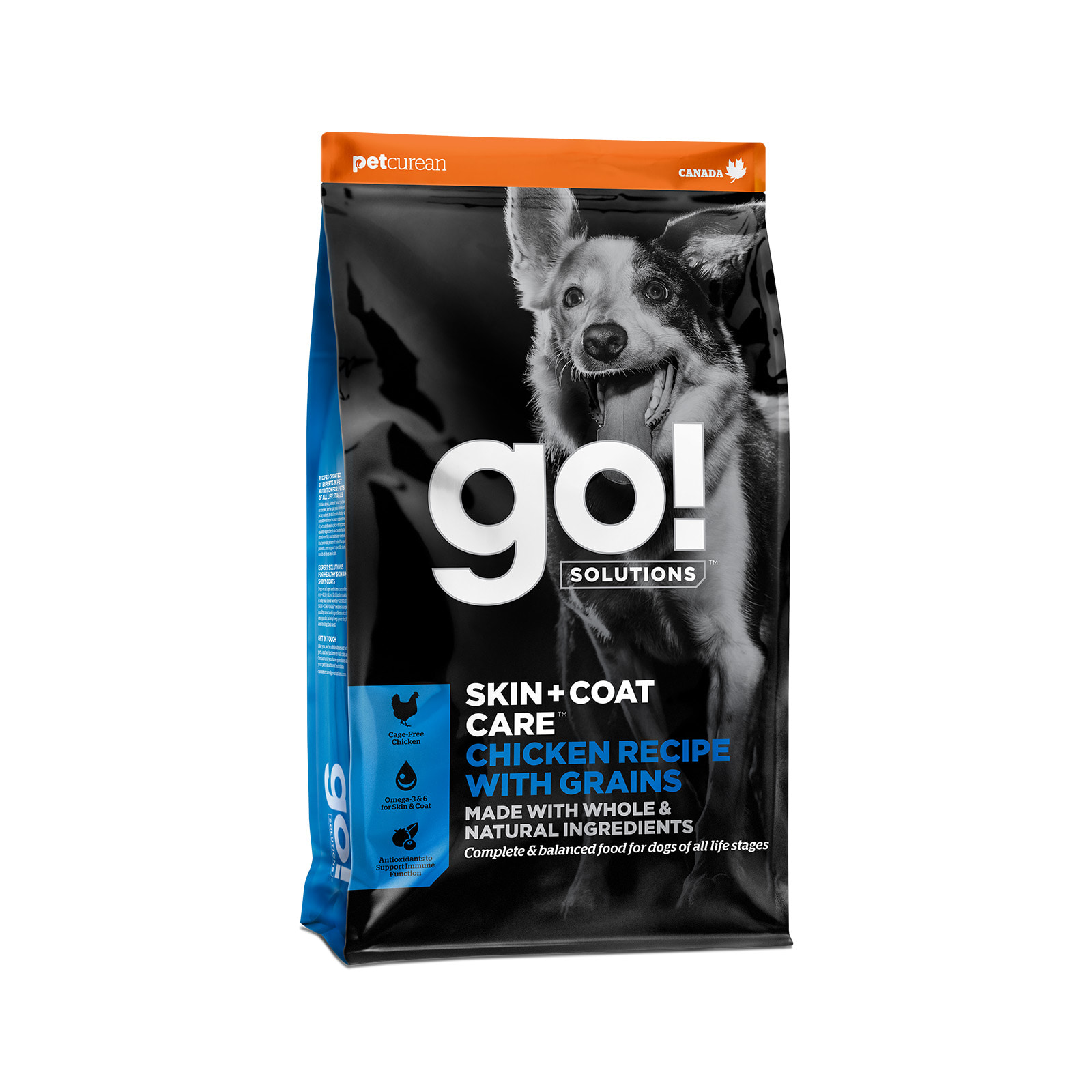 Go! Solutions Skin + Coat Care Chicken Recipe with Grains for Dogs