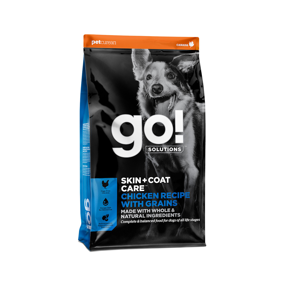 Go! Solutions Skin + Coat Care מתכון עוף עם דגנים