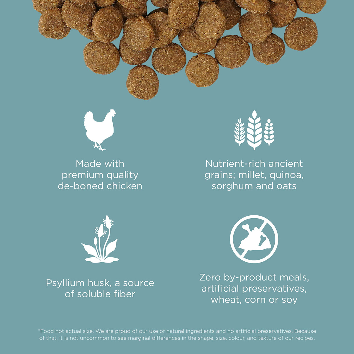 Made with premium-quality de-boned chicken, ancient grains, psyllium husk, and zero by-product meals