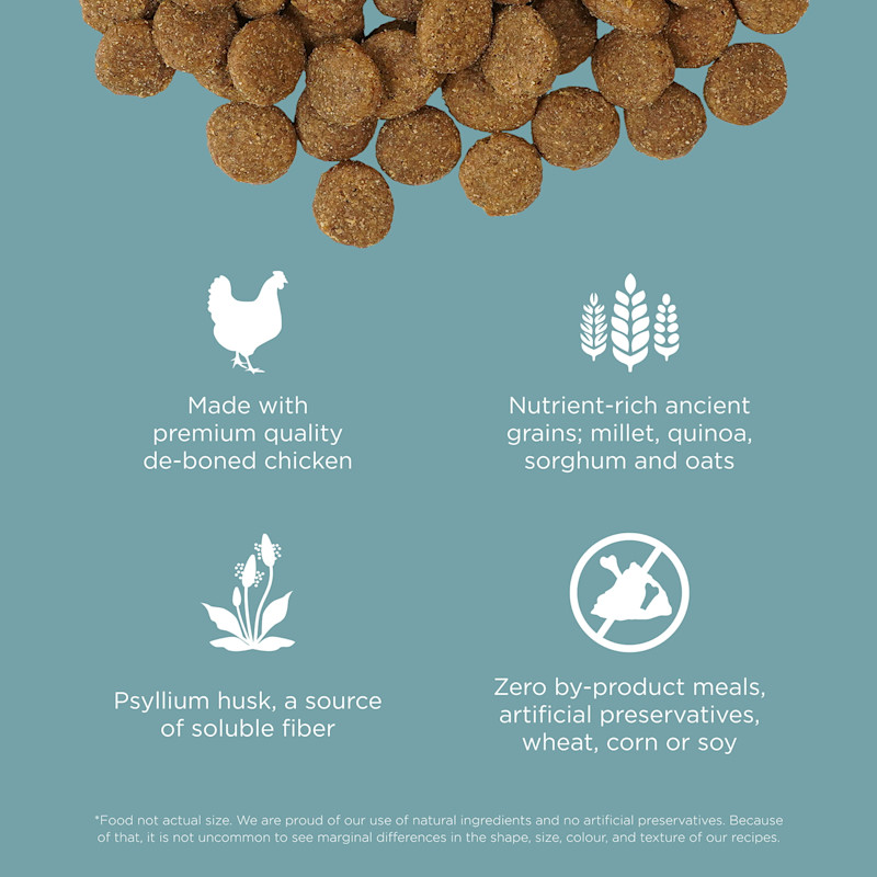 Made with premium-quality de-boned chicken, ancient grains, psyllium husk, and zero by-product meals