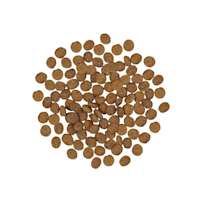 Go! Solutions Skin + Coat Care Turkey Recipe with Grains kibble