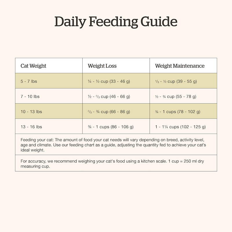 Now Fresh Good Gravy Salmon Recipe for Adults cat food feeding guide