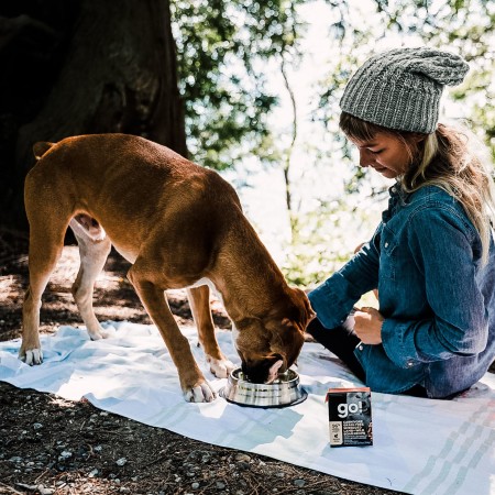 Boxer with woman in forest eating GO! SOLUTIONS CARNIVORE Grain-Free Shredded Lamb + Wild Boar Recipe for Dogs wet food