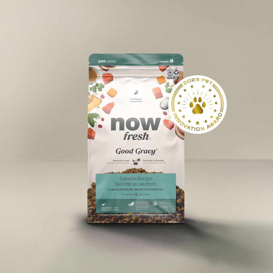 Now Fresh Good Gravy Salmon Recipe for Small Breed Dogs, Pet Innovation Award 2025