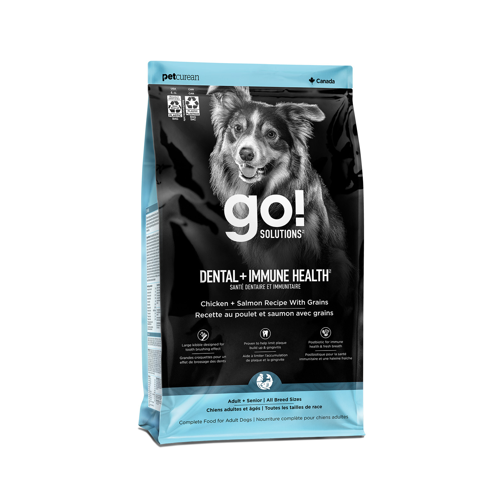 Go! Solutions Dental + Immune Health Chicken + Salmon Recipe for Dogs