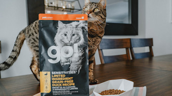 Brown cat on table behind GO! SENSITIVITIES Limited Ingredient Duck Recipe kibble