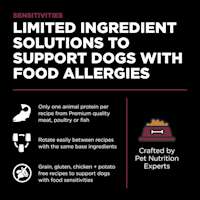 Limited ingredient solutions to support dogs with allergies